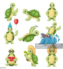Sbírka želv kreslené postavičky. Malé želvy dělají různé věci. Ploché vektorové ilustrace izolované na bílém pozadí - Bez autorských poplatků Želvy - Plazi vektorové obrázky