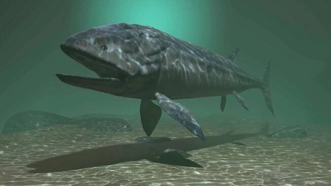 Size of Leedsichthys problematicus