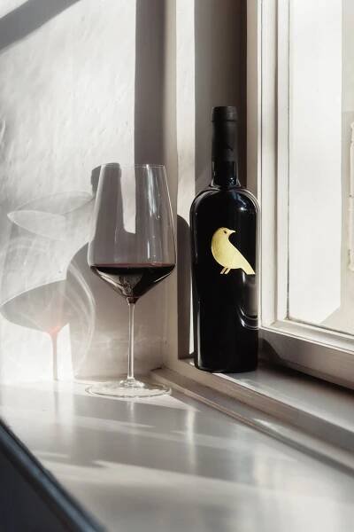 Vinařství Sing Wine z Velkých Bílovic - Galerie
