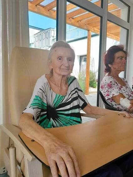 Solasido v Chelčicích🤡 | Alzheimer Home