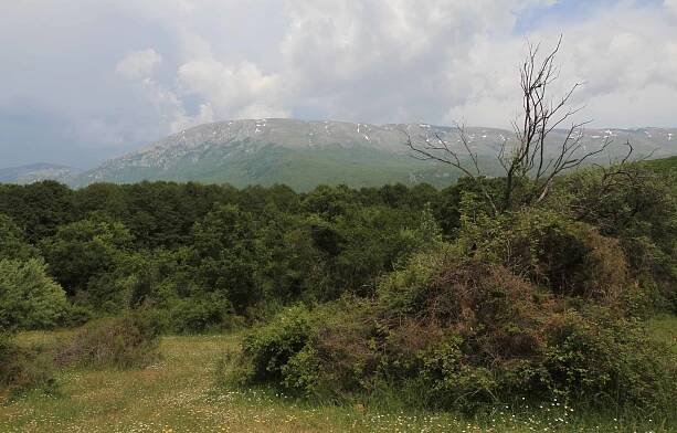 Another view of the Galičica Mountains.