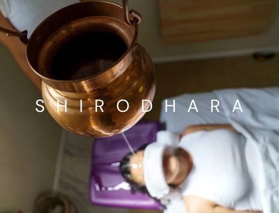 Yogi Hari's Ashram | Florida Yoga School | 200 Hour Teacher Training