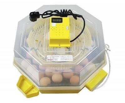 Automatická líheň na vejce CLEO 5 DTH AUTOMATIC