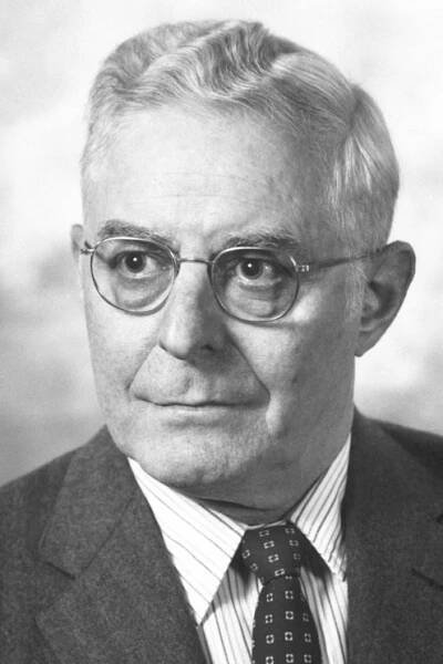 William H. Stein