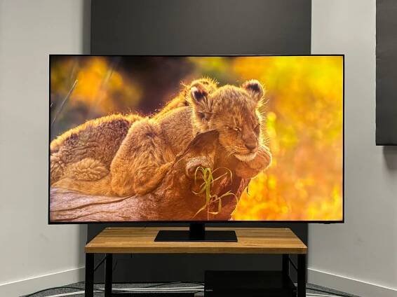 Samsung QE65QN95D