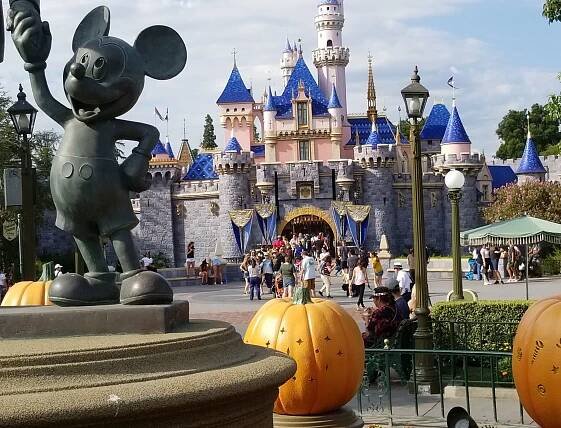 The Disney Resort | I wish you were here