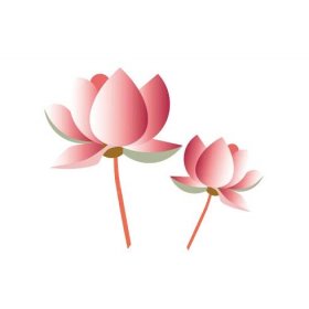 Pink Lotus Vector, Lotus, Lotus Flower, Summer Lotus PNG and Vector ...