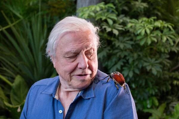 David Attenborough: Mikro monstra