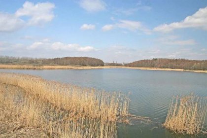 Výlovy rybníků 2016: Při výlovu Bohdanečského rybníka budou k vidění padáky z filmu Anthropoid - Naše voda