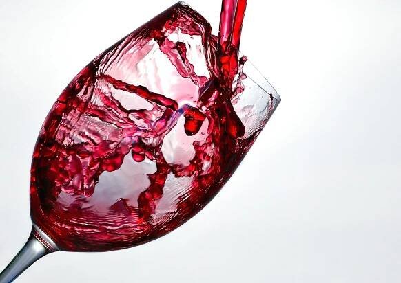 Řízená degustace vín z rodinného vinařství Sing Wine Velké Bílovice