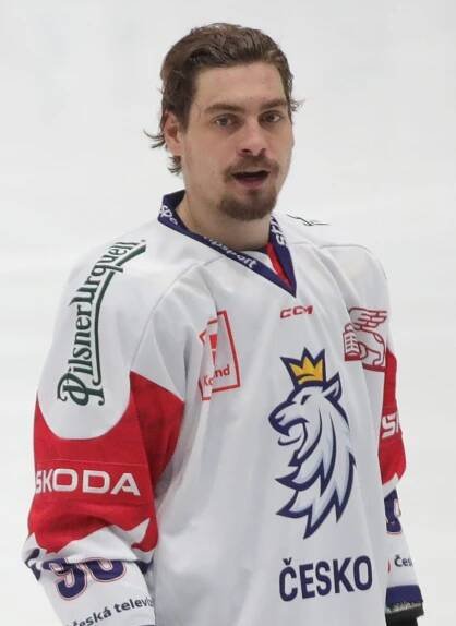 David Tomášek – Wikipedie