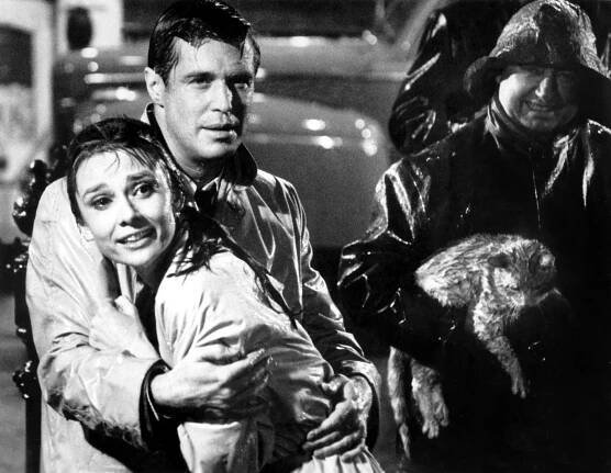 Audrey Hepburn, George Peppard, kocour Orangey - Snídaně u Tiffanyho - Z natáčení
