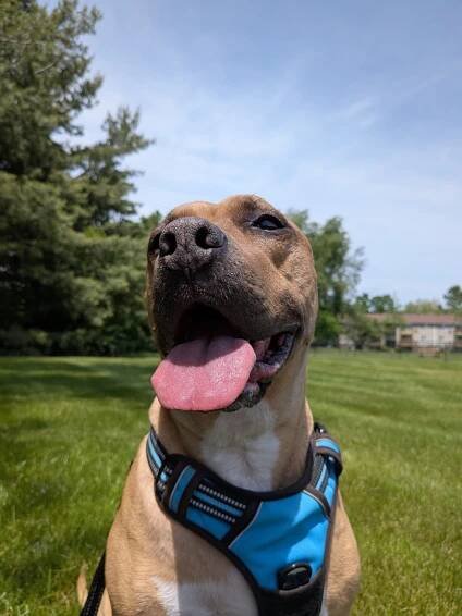google pixel9a camera sample joe 4