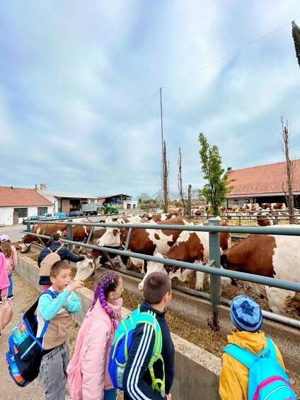 RODINNÁ FARMA & AGROPENZION HÁJENKA - to byl cíl dnešního projektového dne - Oficiální stránky ZŠ a MŠ Cítoliby