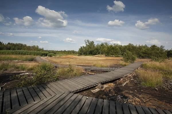 Island i bolivijská poušť na západě Čech. V rezervaci Soos bublá voda a vzduch voní solí