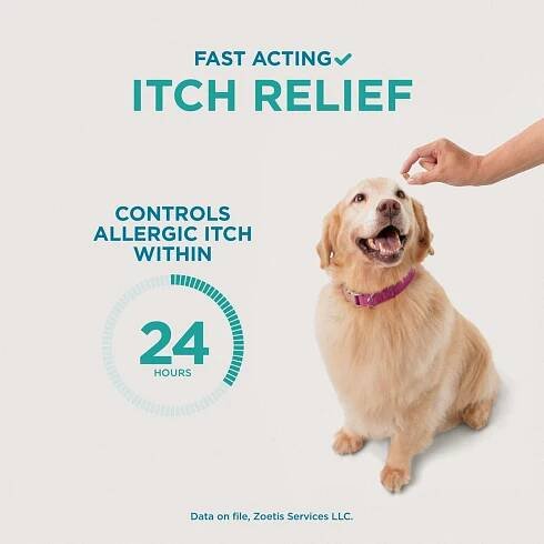 Show full view: Apoquel (oclacitinib chewable tablet) Chewable for Dogs, 5.4mg, 60 tablets slide 4 of 11