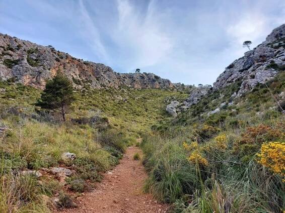 Druhý den treku GR 221 na trase z refugia Finca Ses Fontanelles do Estellencs, Mallorca.