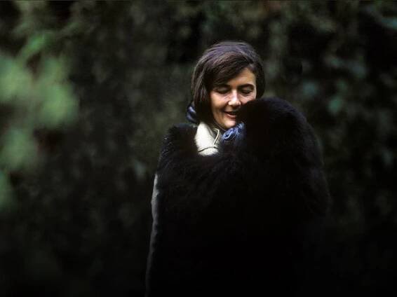 The Murder of Dian Fossey: Her Mystery Killing in Rwandan Forests Remains Unresolved - Civil War Traveler