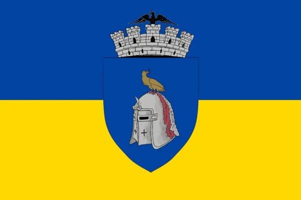 Reprezentat de bicolor și stemă