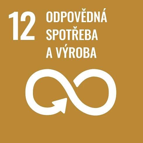 E-WEB-Goal-12