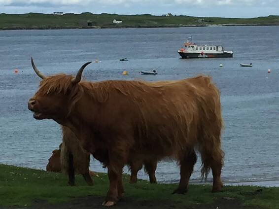 Isle of Iona – Avalon Journey