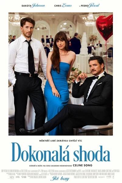 Dokonalá shoda poster