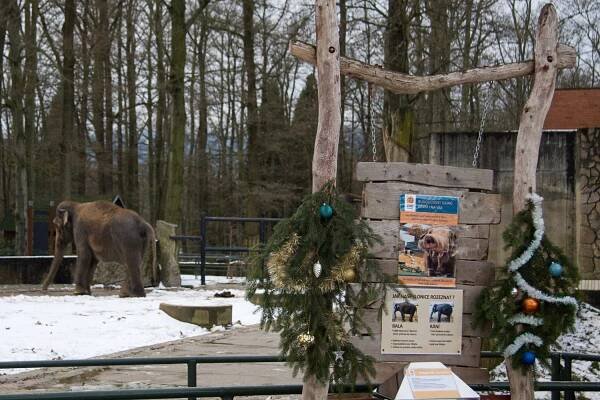 Liberecká zoo stojí za prohlídku i v zimě. Včetně Vánoc a... | Regiony