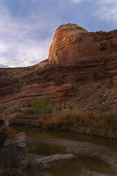 bezplatná Úchvatný pohled na kaňon Utah se zlatými odstíny odrážejícími se v řece během jara. Základová fotografie