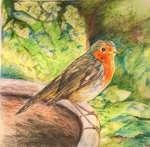Robin Red Breast - Image 2