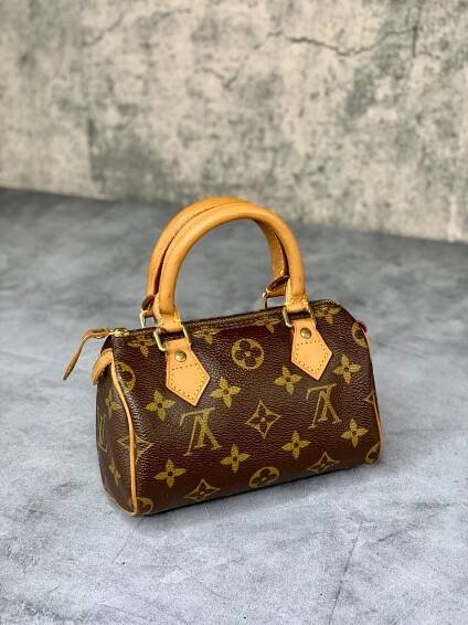 Louis Vuitton Mini Speedy