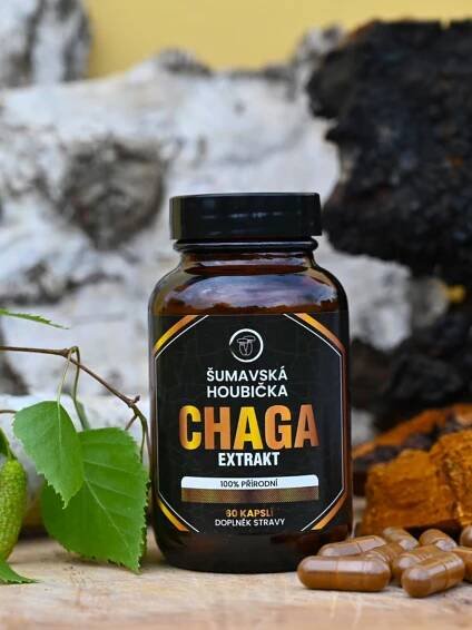 Chaga extrakt Šumavská houbička kapsle 60 ks - ŠumavskáHoubička.cz