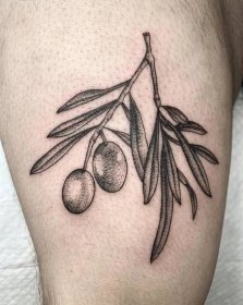 40+ nejlepších tetování olivové ratolesti. Starověké a moderní významy