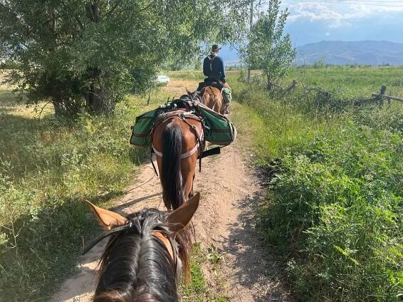 Short ride Kyrgyzstán 2023 | Horsemenistán