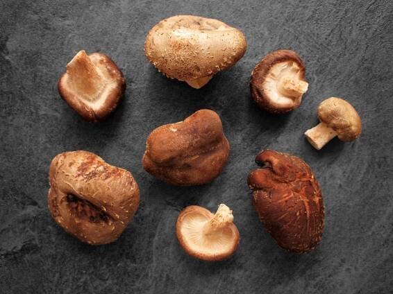 True Shiitake
