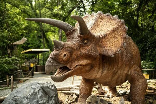 DinoPark a ZooPark spojený vláčkem? Vydejte se do Vyškova!
