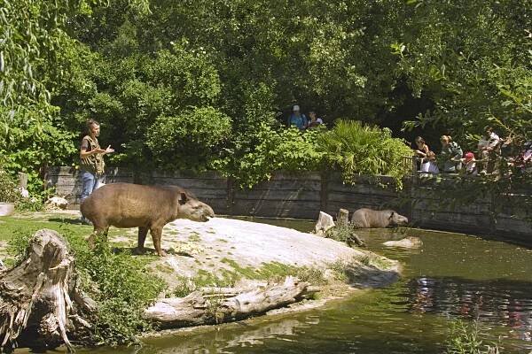 Zoo Pictures – Zoo des Sables d'Olonne