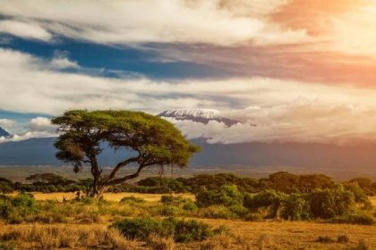 What Is the Highest Mountain in Africa?