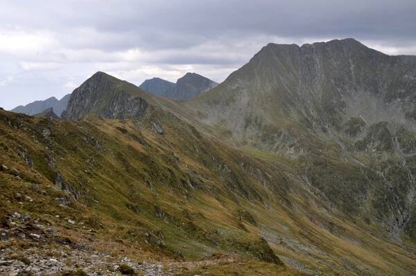 Fagaraš 2014
