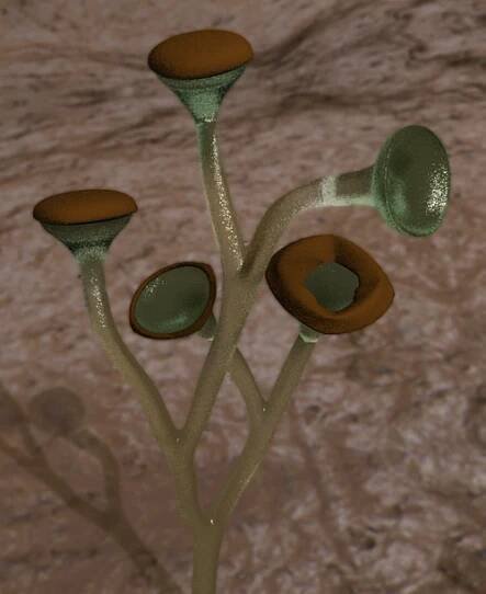Polysporangiophyte - Wikipedia