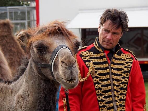 20140604-cirkus-berousek36