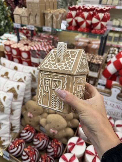 Hand holding a gingerbread house-shaped container.