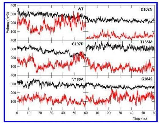 Figure 8. Time evolution of the volume of subpockets $1 and S4 along the MD simulations. Each point is the average volume from the four MD trajectories on a 100 ps window.  320 and 271), whereas $4 enhances the affinity for the substrate via van der Waals interactions. Therefore, we monitored the dynamics of these two subpockets by calculating their volume during the whole MD simulations, for all the considered systems (see Figure 8). 