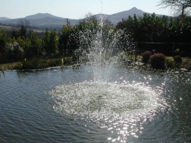 Water Features for Your Garden Design in Dublin or Wicklow