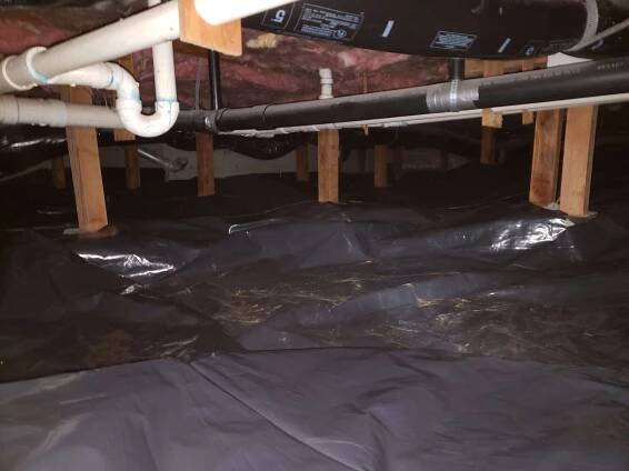 Bloom Pest Control and Home Services, Bloom Crawl Space Services, Bloom Pest Control, Crawl Space Services
