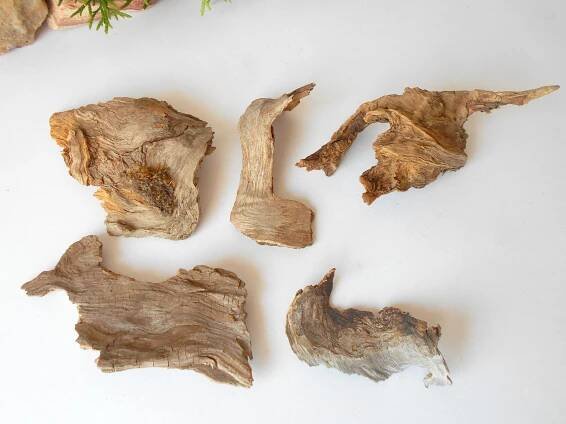 These are set of 9 naturally formed driftwood with a unique surface formed in a forest in the Rhodopes Mountain in Southern Europe- country Bulgaria. These pieces of wood have been formed for many years and time has exposed the inner parts of the old tree wood.   Size: the driftwoods are about 4'' to 6'' - 10 to 15 cm. 