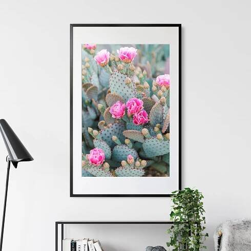 Desert-Photographer-Print-Shop-47