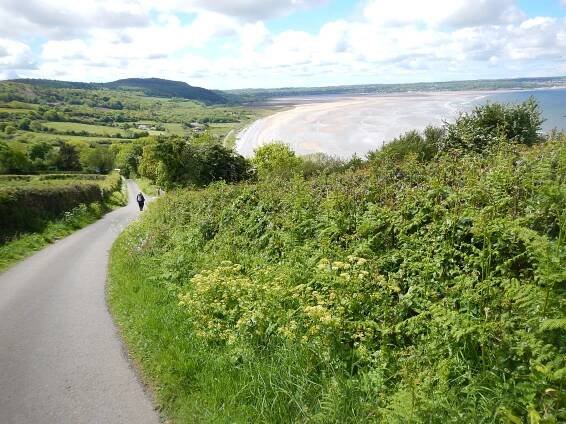 Because of a recent landslide on the coastal path itself it was necessary to make the steep descent from Bwrrd Arthur on this roadway. 
