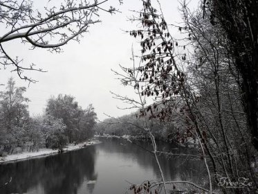 Téměř monochromatická zimní krása ve fotografiích | FreeZe