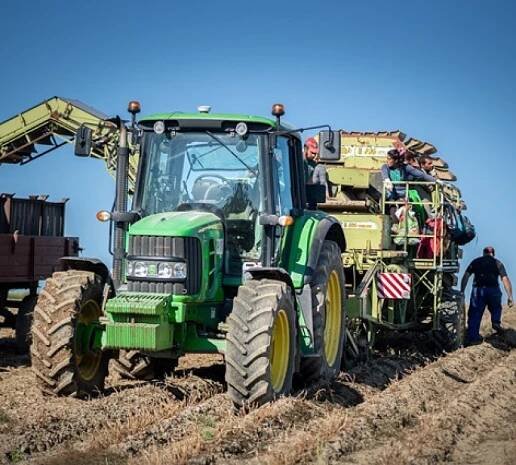 Brambory konzumní – na uskladnění a bramborová sadba | Asociace regionálních značek