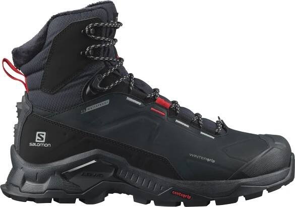 Salomon Quest Winter Thinsulate Climasalomon Waterproof L41366600 40 od 3 390 Kč